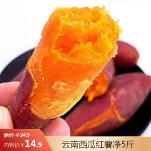 【JD旗舰店】绿鲜集 云南西瓜红薯 净重5斤