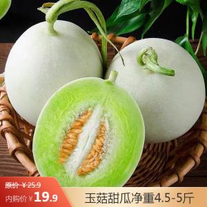 绿鲜集 山东玉菇甜瓜 净重4.5-5斤