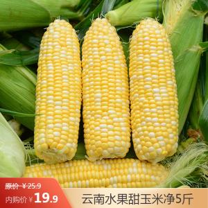 【JD旗舰店】绿鲜集 云南水果甜玉米 净重5斤