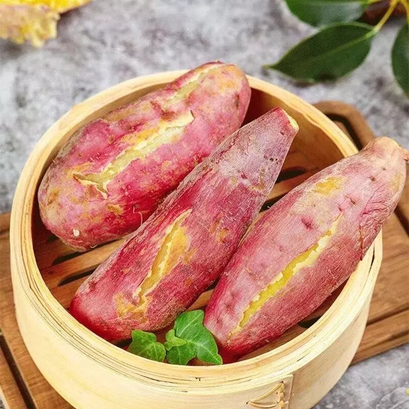 【精选直发】新鲜红薯超甜板栗薯番薯农家自种蔬菜小香薯沙地蜜薯 9斤 大果